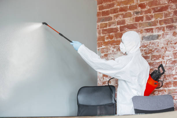 Best Commercial Mold Inspection  in Four Corners, MD