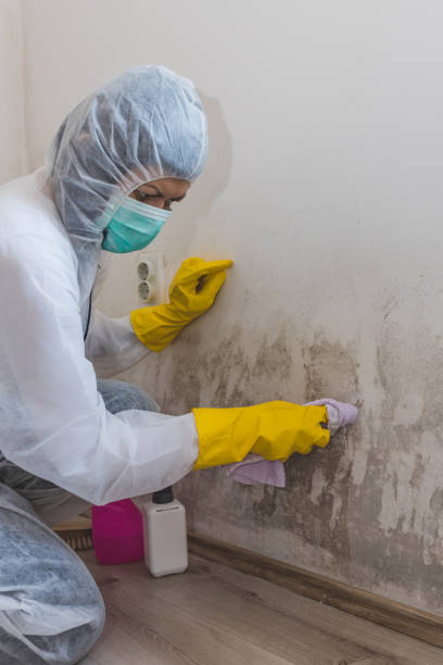 Best Mold Removal for HVAC Installations  in Four Corners, MD