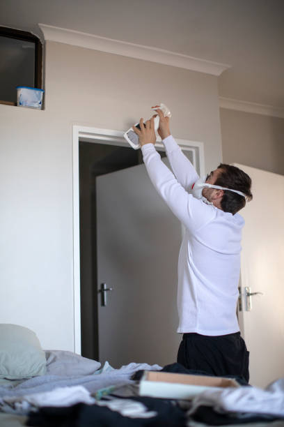 Best Industrial Mold Remediation  in Four Corners, MD