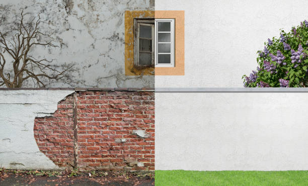 Best Real Estate Mold Inspection  in Four Corners, MD