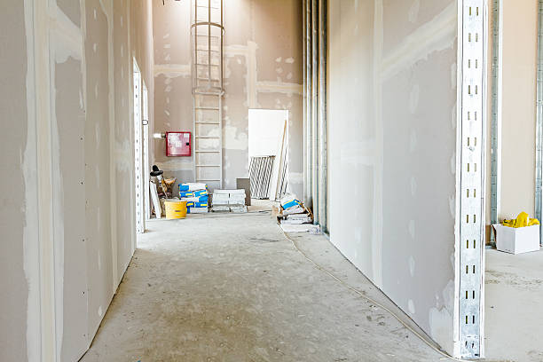 Best Forensic Mold Investigation  in Four Corners, MD