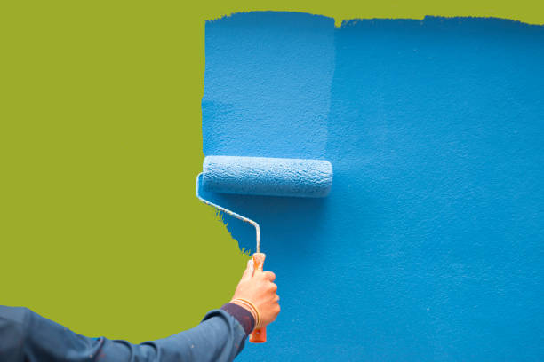 Best Basement Mold Removal  in Four Corners, MD