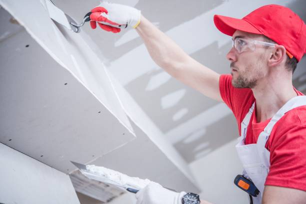 Best Air Quality Testing for Mold Spores  in Four Corners, MD